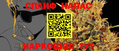 стафф Заводоуковск