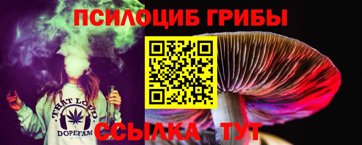 Уссурийск  Псилоцибиновые грибы Cubensis  Вход с VPN 